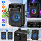 GTS-2309 Portable Wireless Speaker